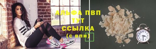 индика Богданович