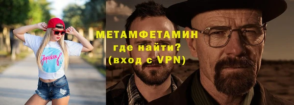 индика Богданович