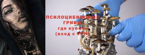 прущая мука Богородск