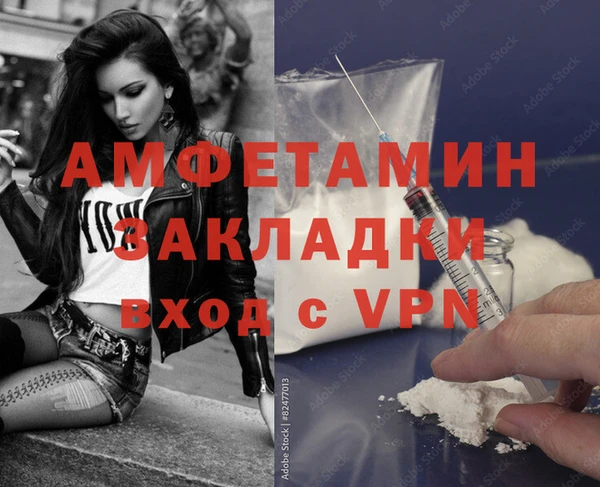 индика Богданович
