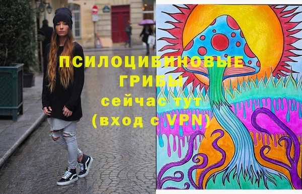 индика Богданович