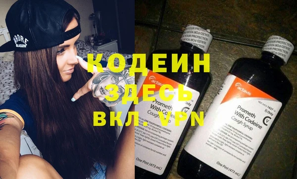 индика Богданович