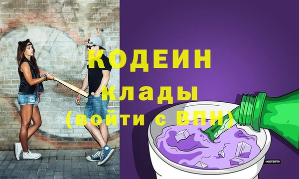 индика Богданович