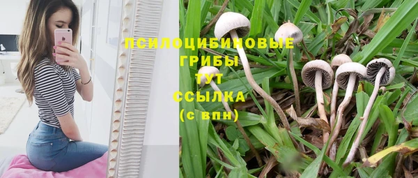 бутират Белокуриха