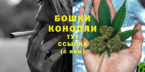 бутират Белокуриха