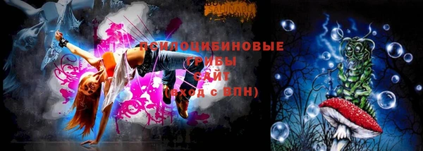 индика Богданович