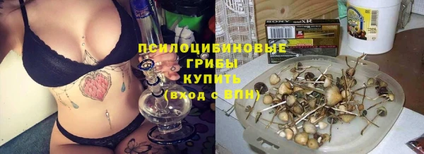 бутират Белокуриха