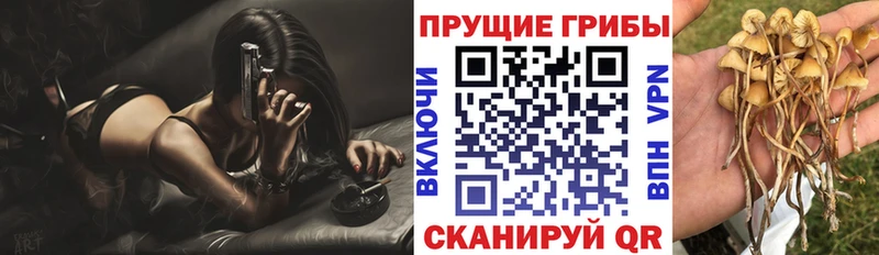 купить   Крымск  гидра зеркало  Псилоцибиновые грибы GOLDEN TEACHER 